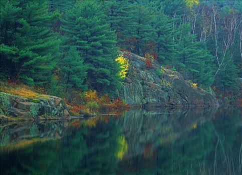 树林,石头,反射,湖,靠近,萨德伯里,安大略省,加拿大