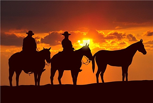 牛仔,马,日落