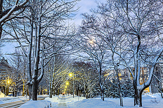 北海道大学