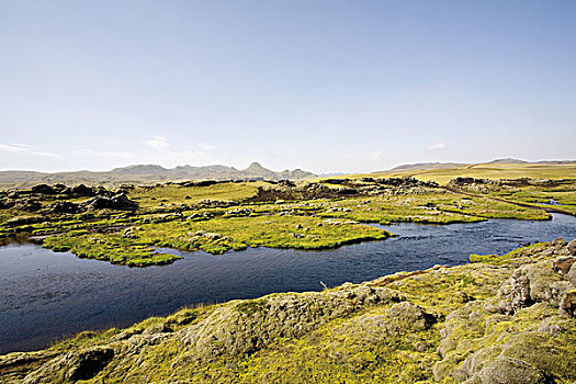 苔藓,遮盖,熔岩原,火山湖,冰岛
