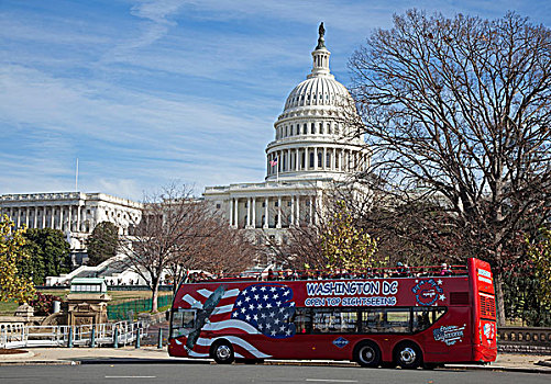 观光,巴士,国会,华盛顿,华盛顿特区,美国