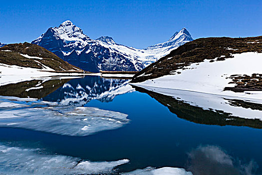 湖,少女峰,伯尔尼阿尔卑斯山,瑞士