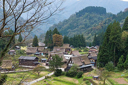 乡村,日本