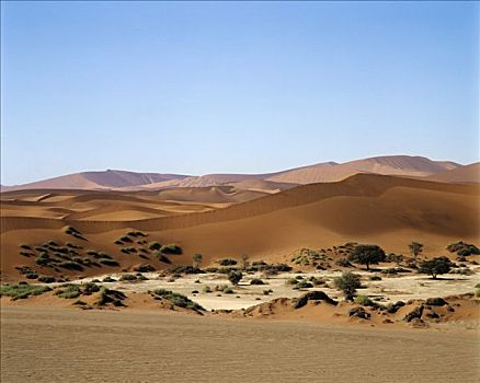 沙丘,小,绿洲,索苏维来地区,纳米比亚