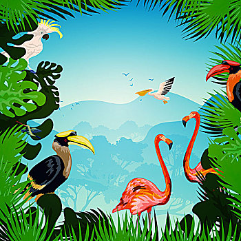 热带森林,背景,异域风情,植物,野生,鸟,矢量