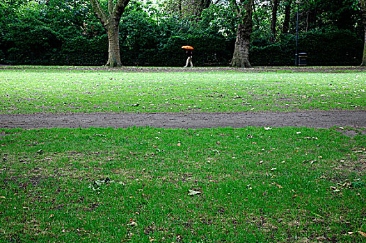 走,雨,公园,伦敦,英国