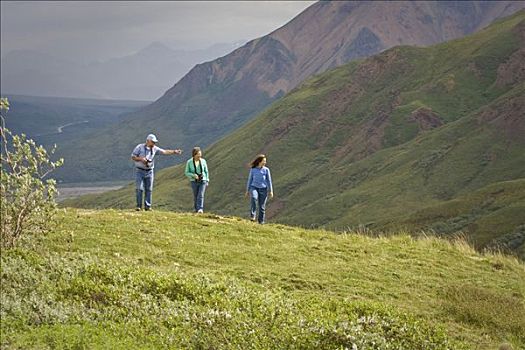 夫妻,中年,女人,远足,苔原,河,区域,德纳里峰国家公园,阿拉斯加