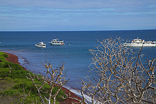 加拉帕戈斯,岛屿,厄瓜多尔