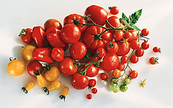 多样,黄色,红色,西红柿,品种