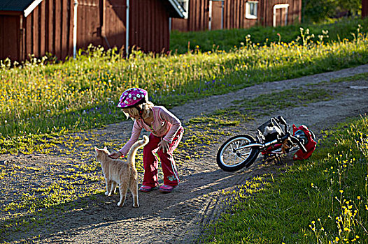 女孩,抚摸,猫,靠近,自行车,乡村