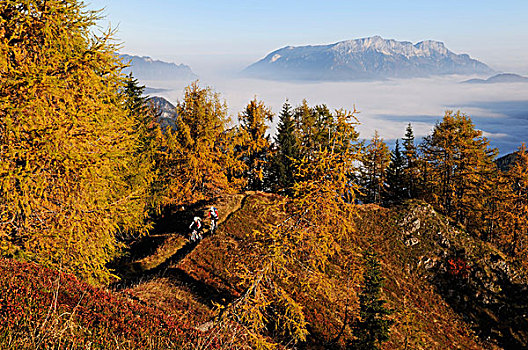 山,雾,上方,湖,贝希特斯加登地区,地区,上巴伐利亚,巴伐利亚,德国,欧洲