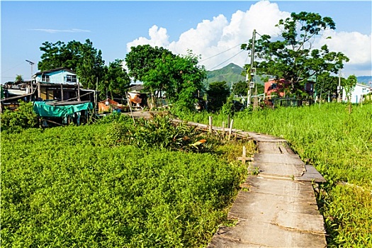 人行道,乡村