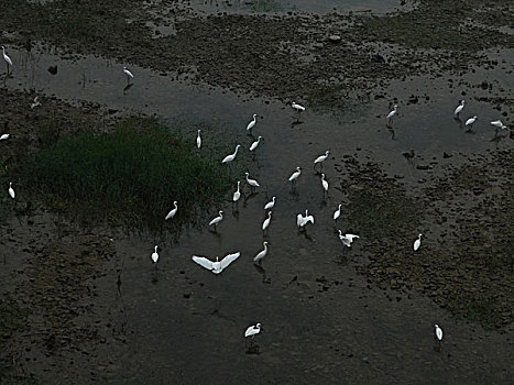 洛河湿地