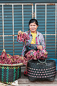 美女,销售,干燥,肉,市场,万象,老挝