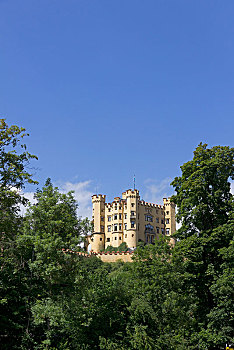 城堡,旧天鹅堡,巴伐利亚,德国,欧洲