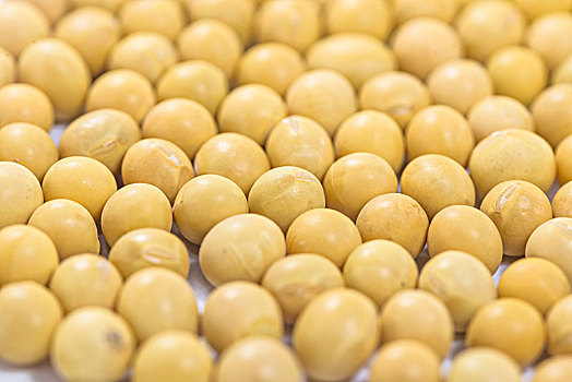 木勺子舀黄豆在铺满黄豆的背景上