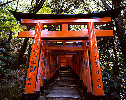 日本,京都,伏见稻荷大社,神祠