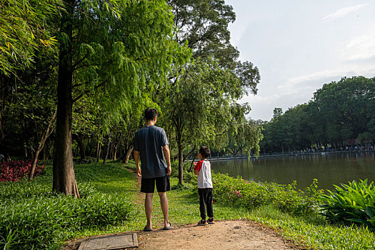 夏天广州天河公园绿树成荫湖水清澈倒影波光粼粼
