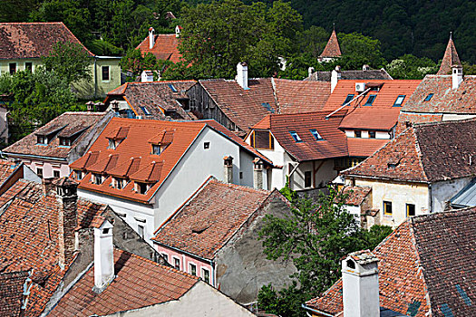 罗马尼亚,特兰西瓦尼亚,老城,屋顶,风景