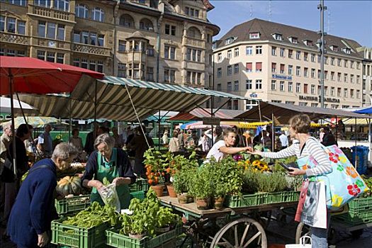 顾客,市场货摊,药草,市场,马尔克特广场,巴塞尔,瑞士