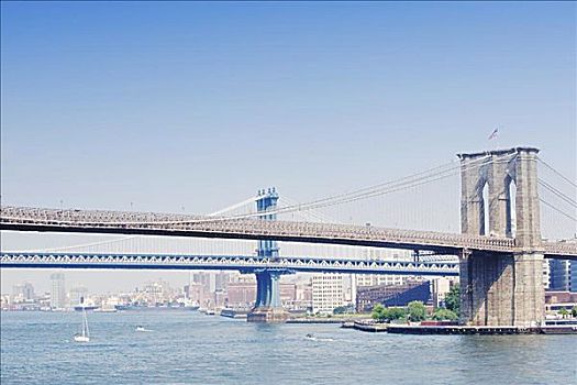 吊桥,河,布鲁克林大桥,曼哈顿,纽约,美国