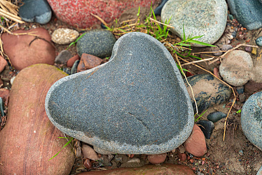 心形的石头