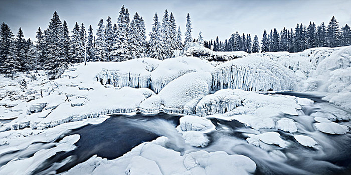 冬季风景,树,河流