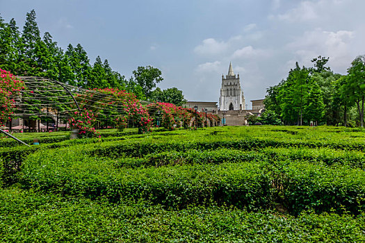 汽车背景－教堂绿地