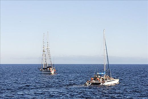 双体船,帆船,大卡纳利岛,西班牙