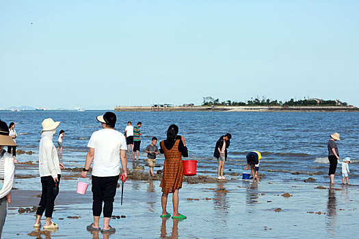 山东省日照市,游客赶海拾贝,踏浪嬉水,桃花岛成国庆节热门打卡地