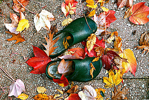 花园,鞋,秋叶