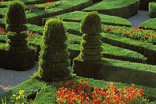 维朗德里城堡,法国,俯视图,花园,树篱,冷杉