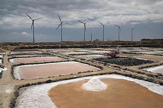 盐厂,靠近,大卡纳利岛