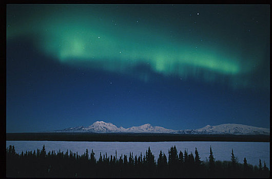 北极光,兰格尔,柳树,湖,阿拉斯加,冬天,景色