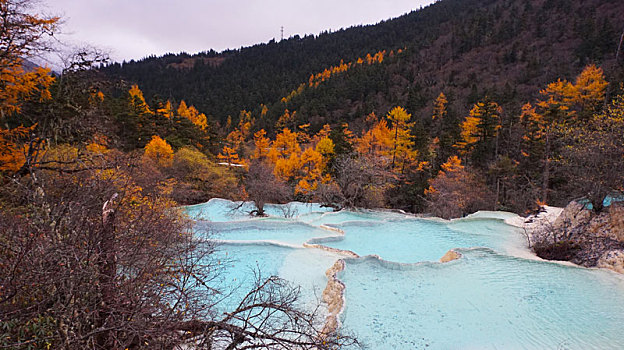 黄龙风景之秋景