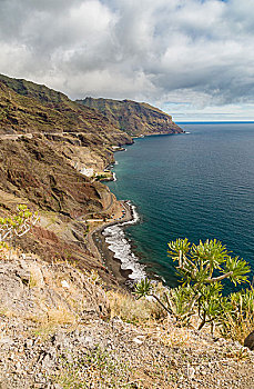 风景,野外,隔绝,海滩,东南,海岸,特内里费岛,加纳利群岛,西班牙