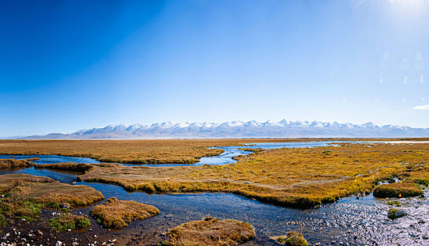 新疆巴音布鲁克湿地沼泽地