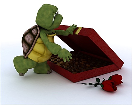 龟,浪漫,礼物