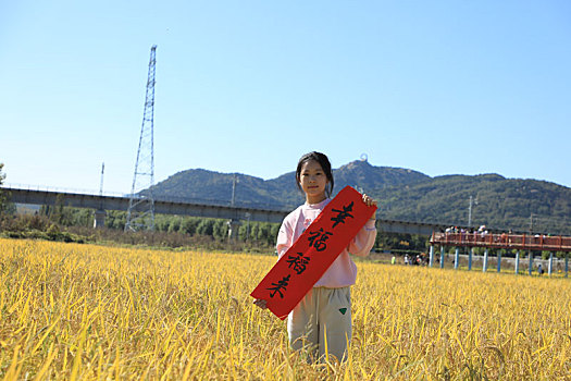山東省日照市,千畝水稻喜獲豐收,數千觀眾沉浸式體驗稻田文化