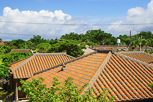 岛屿,冲绳,日本