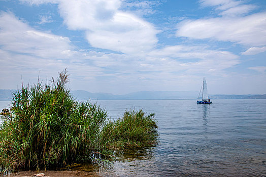 云南玉溪抚仙湖帆船基地