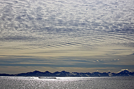 格陵兰,东方,浮冰,沿岸,风景,山景