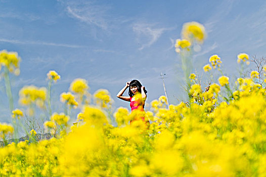 油菜花,地点,女人