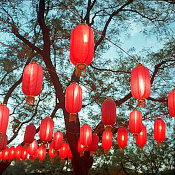 红色,中国,灯笼