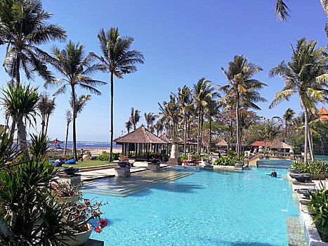 热带度假酒店的泳池及景观