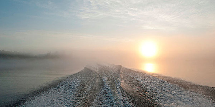 雾,遮盖,湖,日落,木头,安大略省,加拿大