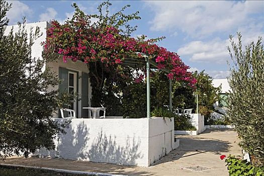 公寓,靠近,东方,克里特岛,希腊