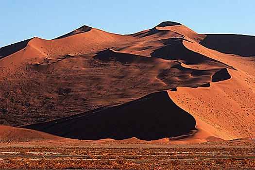沙丘,夜光,索苏维来地区,纳米布沙漠,纳米比诺克陆夫国家公园,纳米比亚,非洲