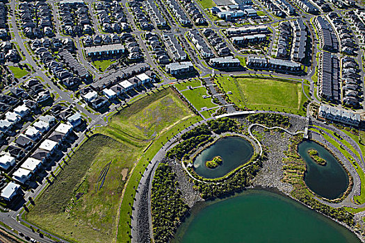 春天,湿地,住宅开发,惠灵顿,奥克兰,北岛,新西兰