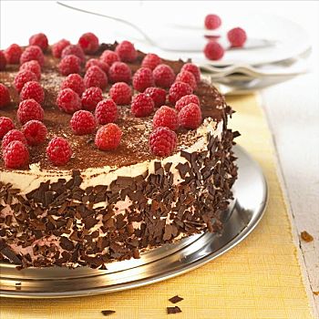 树莓蛋糕,巧克力屑